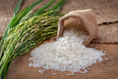 فروش برنج عنبر بو خوزستان + قیمت خرید به صرفه